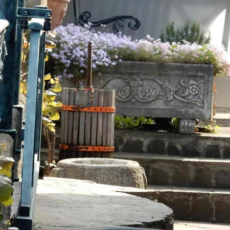 Garni & Terano 酒店 马里博尔