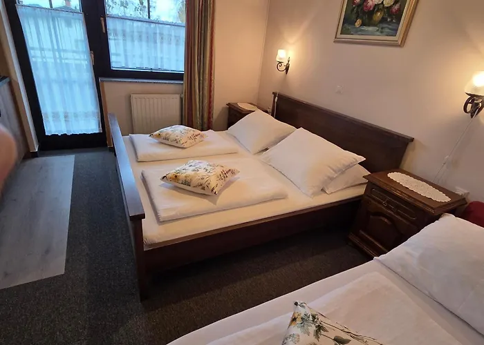 Garni & Terano 호텔 3*