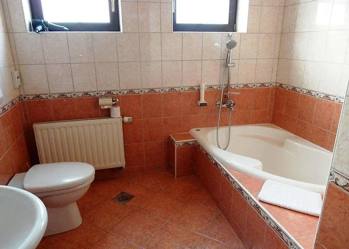 Garni & Terano 호텔 3*